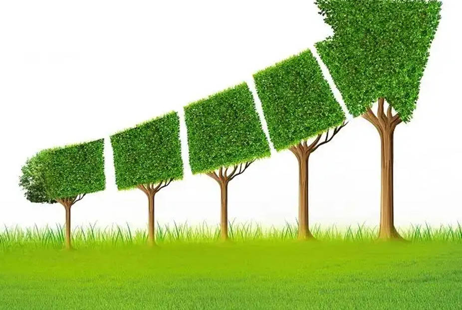 聚焦“双碳”行动 促进全球经济绿色复苏2022碳达峰碳中和论坛暨深圳国际低碳城论坛开幕